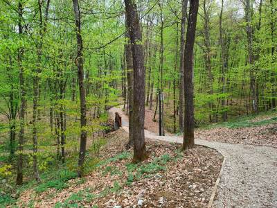  Park šuma u Slatini. 