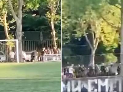  Snimak-tuce-Delija-i-Grobara 