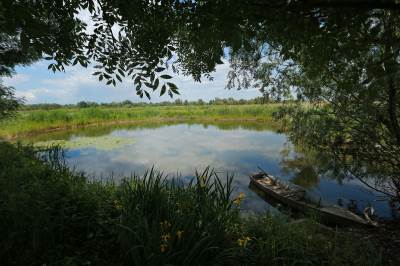  Prirodni rezervat Tišina u Posavini kod Šamca 