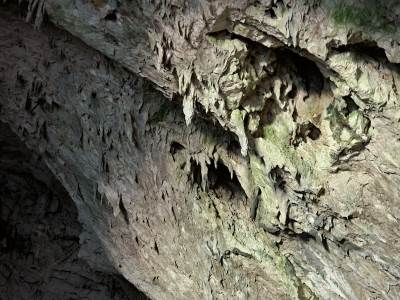  Spašena žena iz pećine u Sloveniji 