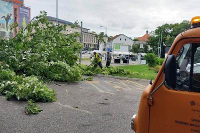  Oštećeno više stabala u Banjaluci 