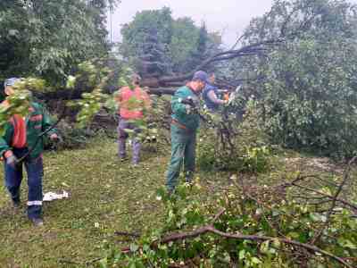  Nevrijeme rušilo stabla u Banjaluci 