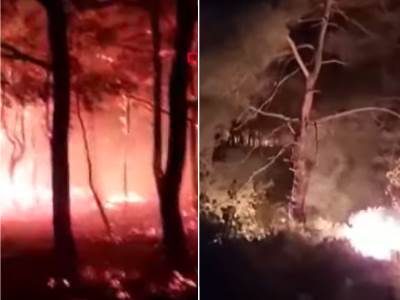  Veliki požar u poznatom ljetovalištu u Turskoj 