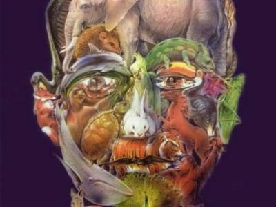  Optička iluzija sa životinjama 