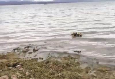  U isušenom jezeru kod Las Vegasa pronađeni ostaci leševa 