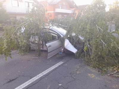  Udes u Vrbanji vozač se zabio u drvo 
