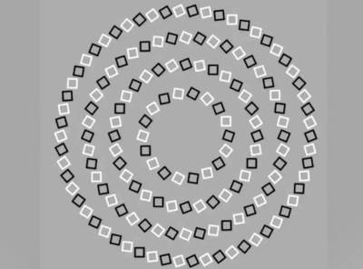  Optička iluzija koliko krugova je na slici 