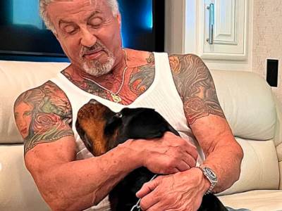  Silvester Stalone se zamalo ponovo razveo 