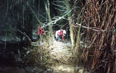  Srpski planinar poginuo u Sloveniji 