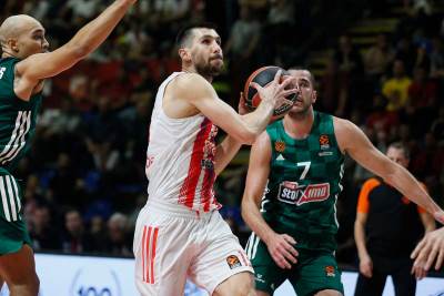  crvena zvezda panatinaikos  