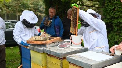  'Pčelarstvo kao alat u osnaživanju žrtava mina 
