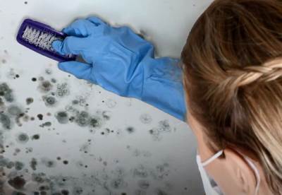  Kako ukloniti buđ i vlagu iz kuće 