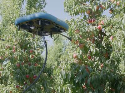  Dronovi za branje voća 