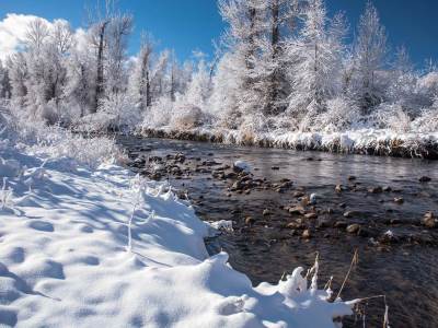  Snježna mećava u Americi 