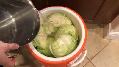  Pravilna priprema kiselog kupusa 