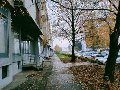  Komšije o ubistvu Ariela Bogdanovića 