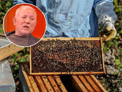  Zdavlje pčelinji proizvodi i med i apiterapija 