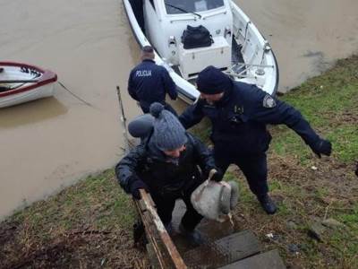  Iz Save spašeno 13 Kubanaca 