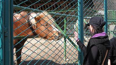  Uprava sarajevskog ZOO-a: Prodaja je legalna! 