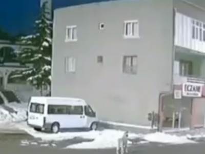  Mogu li životinje predosjetiti zemljotres 