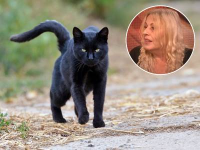  Kad crna mačka pređe put sujevjerje 