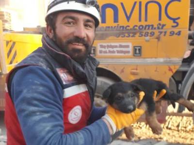  Spašavanje životinja iz ruševina u Turskoj 