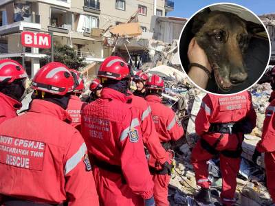  Kako psi pronalaze ljude ispod ruševina 