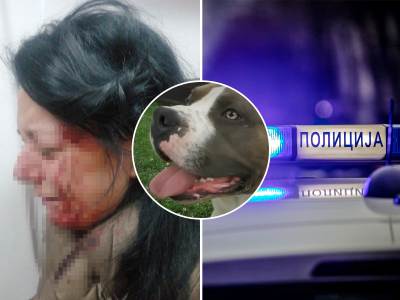  Stagordi napali djevojku u Boru 