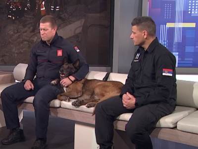  Ispovjest spasilaca iz Srbije koji su se vratili iz Turske 