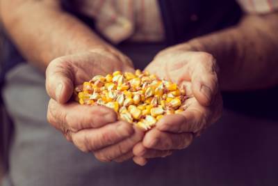  Poljoprivreda u RS cijene sjemena podsticaji marža 
