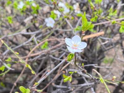  Prognoza vremena i stanje na putevima 