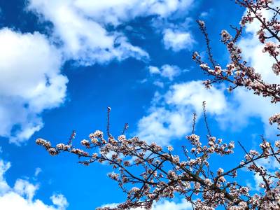  Prognoza vremena i stanje na putevima 