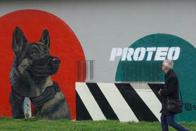  Mural psa iz Meksika na zgradi u Izmiru 