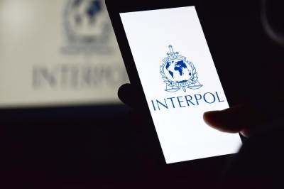 Interpol 