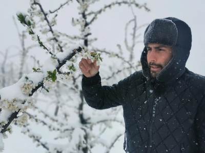  Snijeg uništio voće u selima kod Čačka 