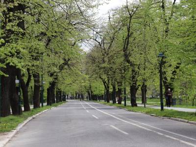  Ubistvo u centru Sarajeva Vilsonovo 