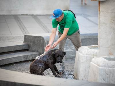  Stiže osvježenje i mogući pljuskovi: Slijedi nam TROPSKA NOĆ, a sutra poslije podne obilnije padavine 