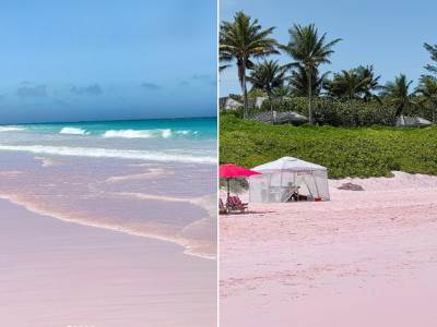  Plaža za roza pijeskom na Bahamima 