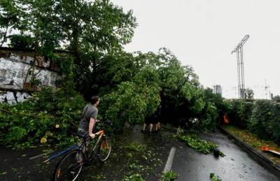  Novi Sad proglasio vanrednu situaciju 