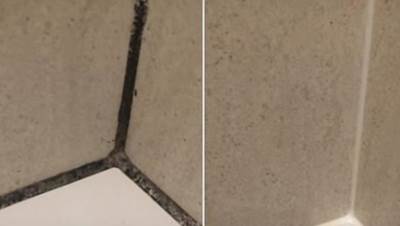  Kako učistiti buđ u tuš kabini 