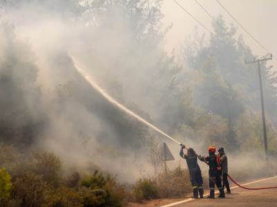  Požari u Grčkoj donijeli probleme i životinjskom svijetu 
