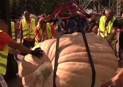 Teška skoro 870 kilograma: Oboren rekord za najveću bundevu u Kikindi! 