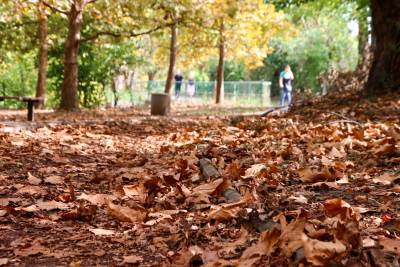  Prognoza za 23. novembar 