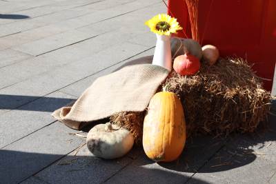  Stanje na putevima i prognoza vremena 