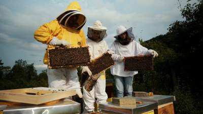  Kako se proizvodi organski med 