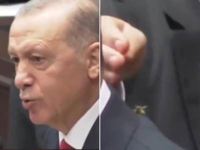  Insekt napao Erdogana 