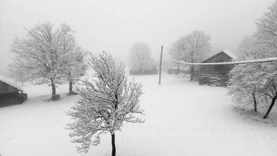  Martovski snijeg nije zaobišao ni niže predjele: Zabijelila se sela između Drvara i Glamoča (FOTO) 