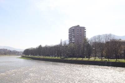  IMG_7861.JPG 