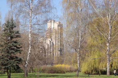  IMG_7862.JPG 