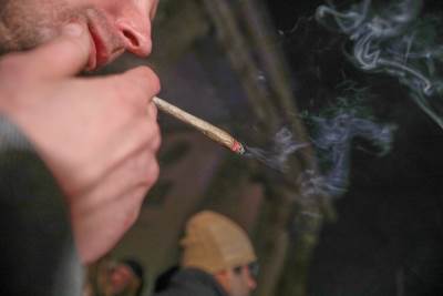  Legalizovana marihuana u Njemačkoj 